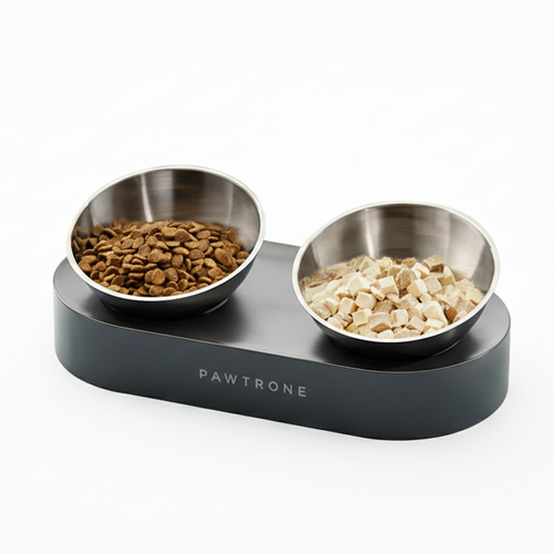 Elevated Stainless Steel Pet Bowls
