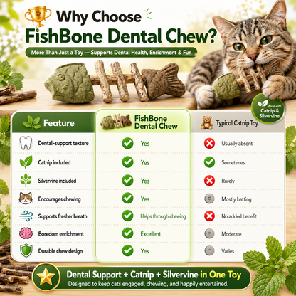 Catnip & Silvervine Chew