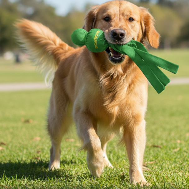 Tug & Squeak Interactive Dog Toy