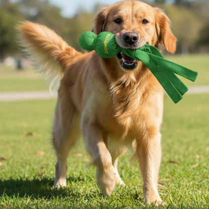 Tug & Squeak Interactive Dog Toy